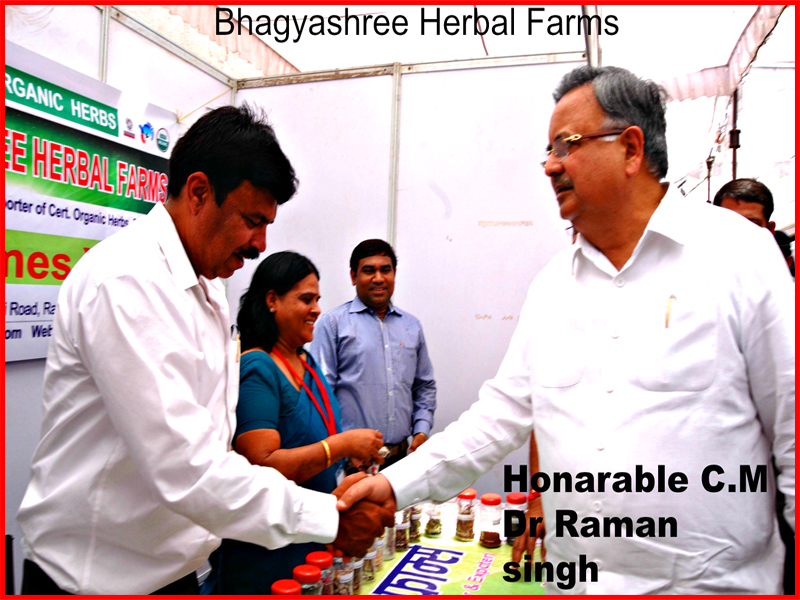 bhagyaherbals